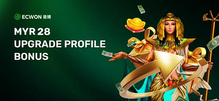 Ecwon Upgrade Profile Bonus